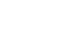 Runflex