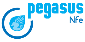 Pegasus-nfe-1